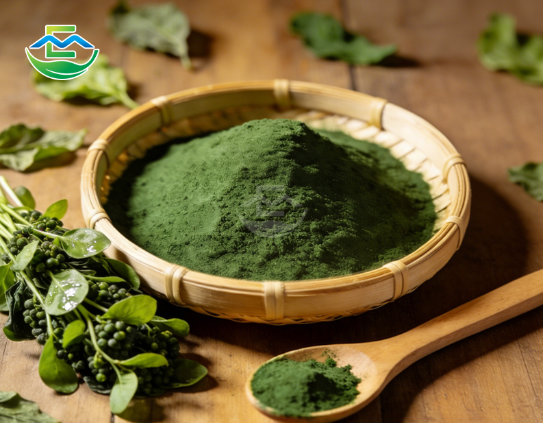 Pure Broken Cell Wall Chlorella Powder